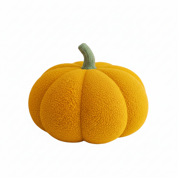 Oranje pompoen met groene steel, textuur als suède. Herfstdecoratie en inspiratie voor Halloween en herfstfeesten.