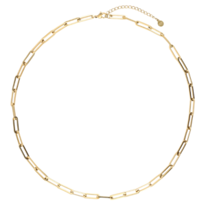 Gouden ketting met schakelontwerp, modieuze halsketting voor dames, stijlvol accessoire voor elke gelegenheid.