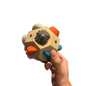 Houten klimgreep met kleurrijke hoekstukken, vastgehouden door een hand. Ideaal voor klimsporttraining.