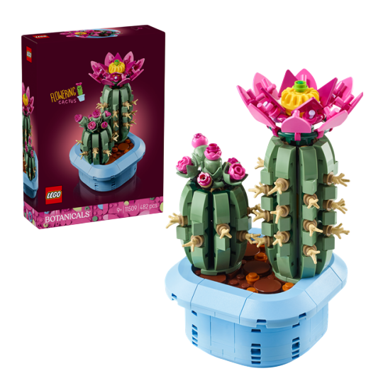 LEGO Botanic set: Een bloemen-cactus in pot met kleurrijke bloemen en details, perfect voor creatieve bouwers en decoratie.