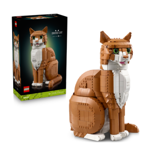 LEGO set van een oranje kat, met de doos op de achtergrond, perfect voor kattenliefhebbers en bouwfans.